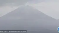 Semeru Bergemuruh, Puluhan Gempa Tercatat dalam Hitungan Jam