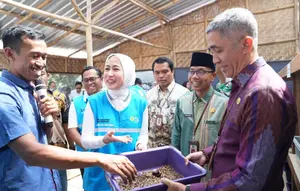 Budi Daya Maggot di Mataram, Solusi Masalah Sampah Jadi Bernilai