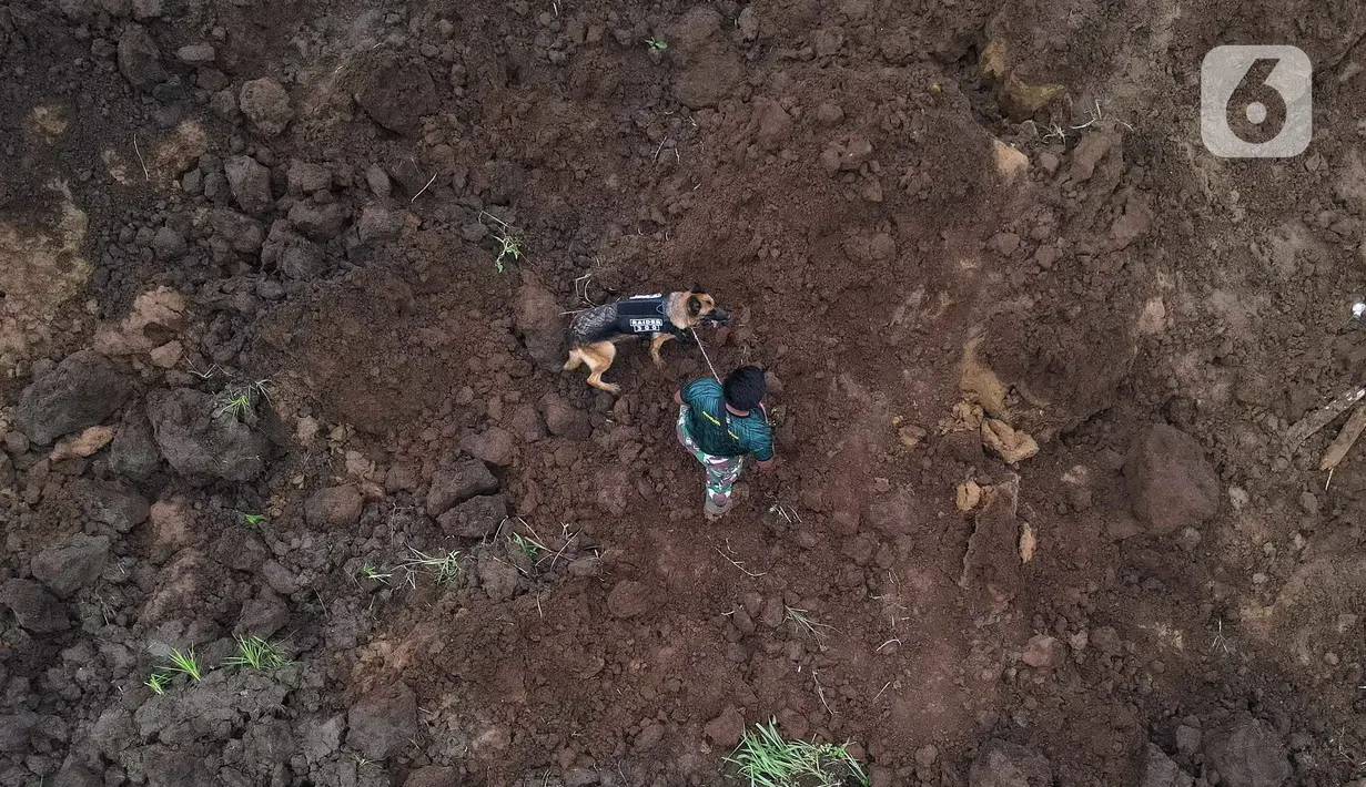 Foto udara memperlihatkan tentara membawa anjing pelacak saat mencari korban yang tertimbun longsor akibat gempa berkekuatan magnitudo 5,6 di Cijendil, Kabupaten Cianjur, Jawa Barat, Rabu (23/11/2022). Puluhan warga di kawasan itu diperkirakan masih tertimbun longsor pascagempa yang mengguncang Cianjur pada 21 November 2022. (Liputan6.com/Herman Zakharia)