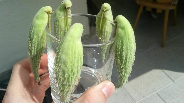 Bikin Takjub, 10 Potret Sayur dan Buah Membentuk Wajah yang Lucu