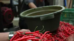 Pedangan memilah cabai merah di  sebuah pasar di Jakarta, Kamis (11/1). Cabai mengalami kenaikan harga sebesar Rp 20 ribu hingga Rp 30 ribu per kilogram. (Liputan6.com/Angga Yuniar)