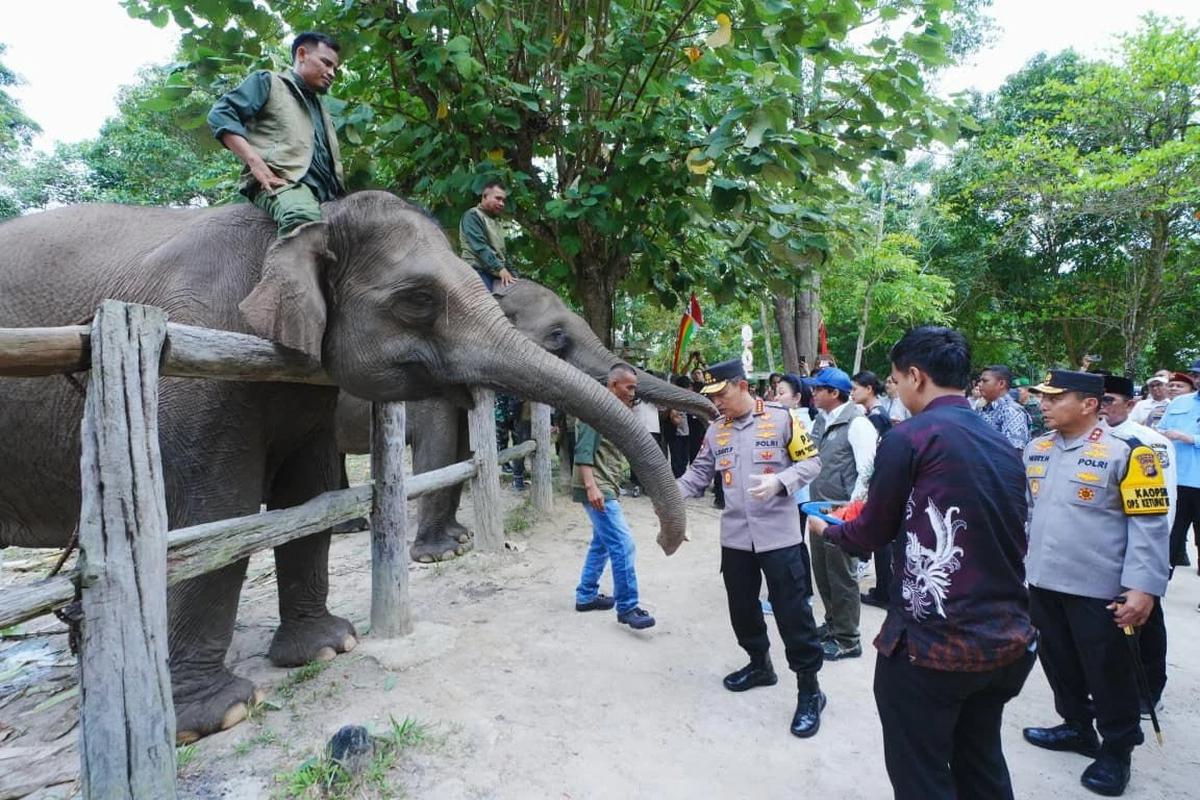 FOTO: Kapolri dan Ketua Komisi IV DPR Tinjau Pemulihan Tesso Nilo untuk Konservasi Gajah