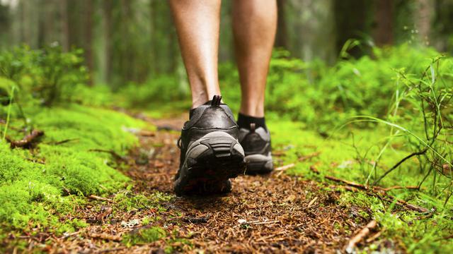 Ilustrasi lari di hutan