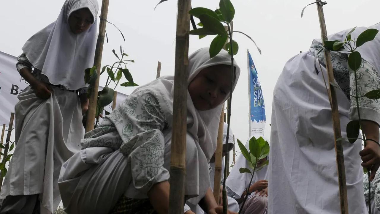 Penanaman ribuan bibit pohon mangrove kembali dilakukan di kawasan Muara Angke.<br><br>Penanaman ini bertujuan untuk menjaga lingkungan kawasan pantai utara Jakarta yang sebagian sudah ditanam mangrove tetap terjaga.