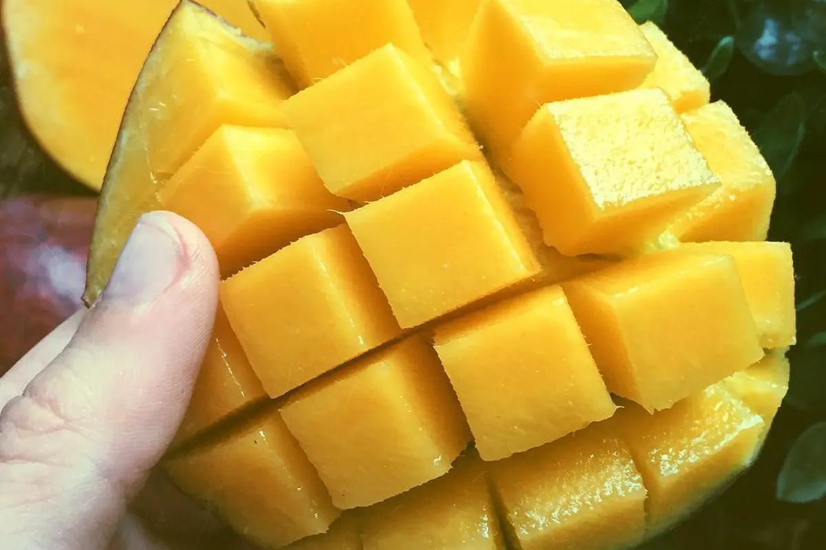 [Bintang] Mangga
