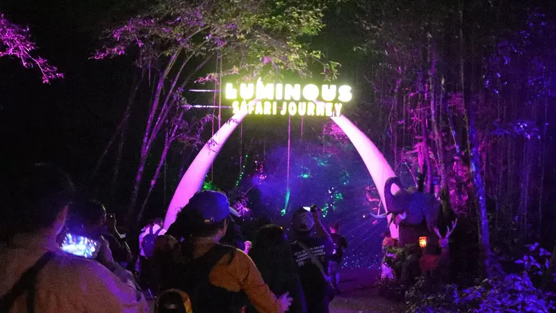 Luminous Safari Journey digelar Taman Safari Bogor untuk menyambut tahun baru 2024