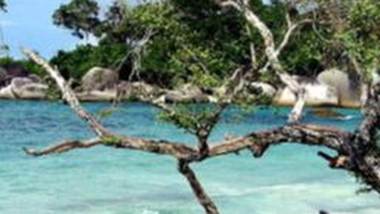Terkenal dengan julukannya sebagai Kota Santri, wisata Jombang tidak hanya menyuguhkan wisata rohani namun juga menyimpan banyak destinasi wisata alam, kuliner, religi dan sejarah yang mengagumkan dan layak untuk dikunjungi.