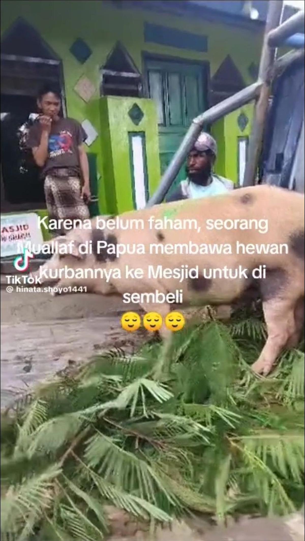 Dok. Istimewa