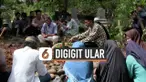 digigit ular