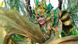 Efek Banyuwangi Ethno Carnival, Homestay dan Hotel Ludes Dipesan Sejak Jauh Hari