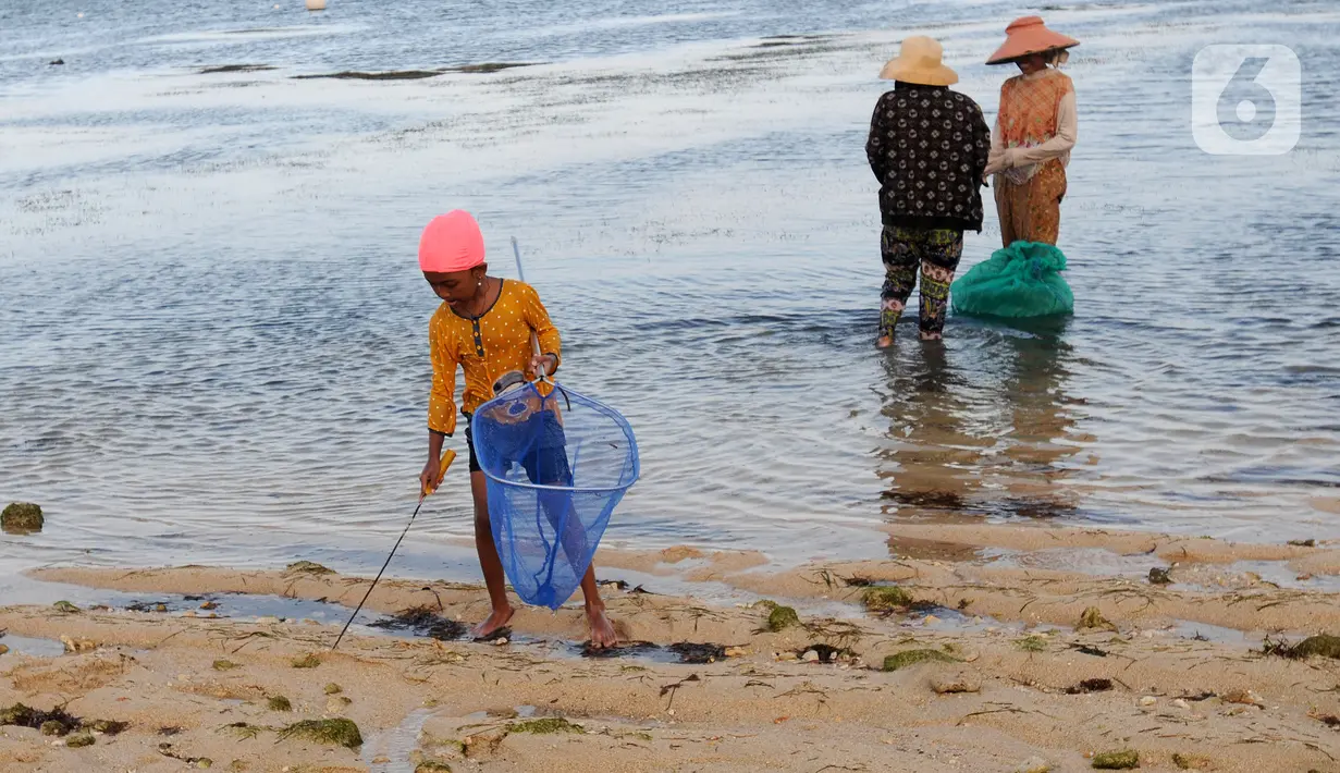 <p>Warga Desa Adat Peminge mengumpulkan lepasan rumput laut di kawasan Pantai Geger Mulya, Nusa Dua, Bali, Selasa (3/5/2022). Dalam sehari, belasan warga mampu mengumpulkan sekitar 5 hingga 20 kg rumput laut basah yang jatuh karena gelombang laut. (merdeka.com/Arie Basuki)</p>