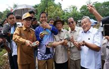 Panen Raya 1,3 Ton Ikan Papuyu di Banjar: Si Mungil Bernilai Ekonomi Tinggi Dukung Ketahanan Pangan Lokal
