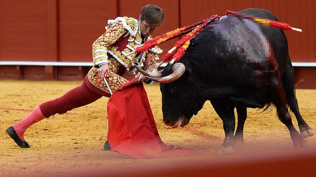 Sengitnya Pertarungan Matador dan Banteng di Sevilla