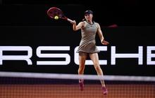 Rybakina dan Muchova Siap Berduel di Final Porsche Tennis Grand Prix Stuttgart