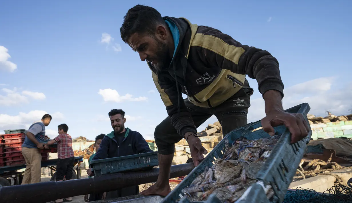 Nelayan mengangkat hasil tangkapan lautnya sebelum dikirim ke pasar di Gaza (23/5/2021). Aktivitas di kawasan Gaza perlahan kembali bergeliat usai Israel dan Hamas sepakat gencatan senjata setelah 11 hari konflik Israel dan Palestina yang memakan ratusan korban jiwa. (AP Photo/John Minchillo)