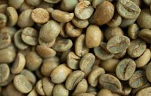 Green Coffee atau Kopi Hijau Bisa Jadi Solusi Jaga Stamina Sepanjang Perjalanan Mudik
