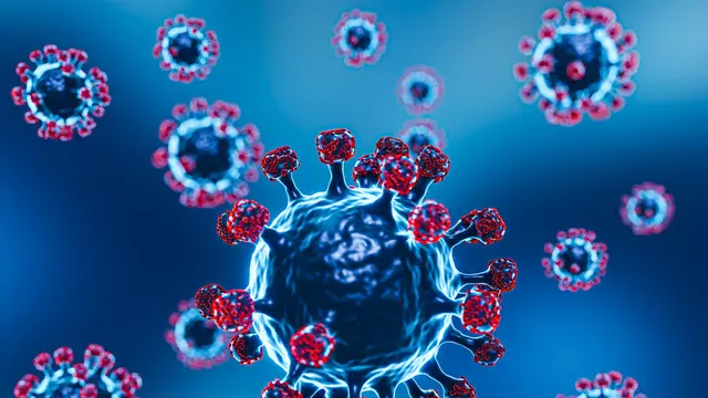 Virus