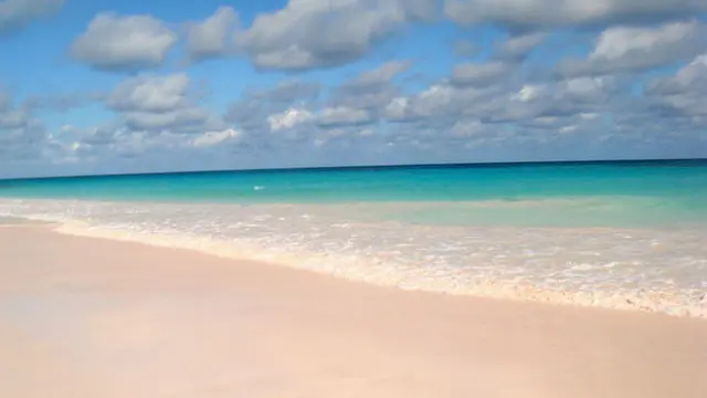 Pink in nature (1)