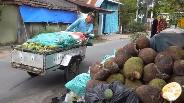 Sukarela Beri Makan Ikan di Sungai