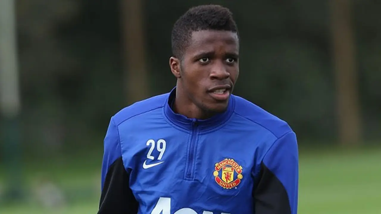 wifi-zaha-131015b.jpg