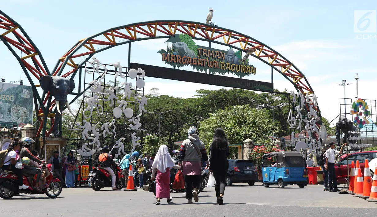 Warga bersiap memasuki lajur pintu masuk kawasan Kebun Binatang Ragunan, Jakarta, Minggu (30/12). Libur panjang jelang pergantian tahun dimanfaatkan warga untuk berlibur di kawasan Kebun Binatang Ragunan. (Liputan6.com/Helmi Fithriansyah)