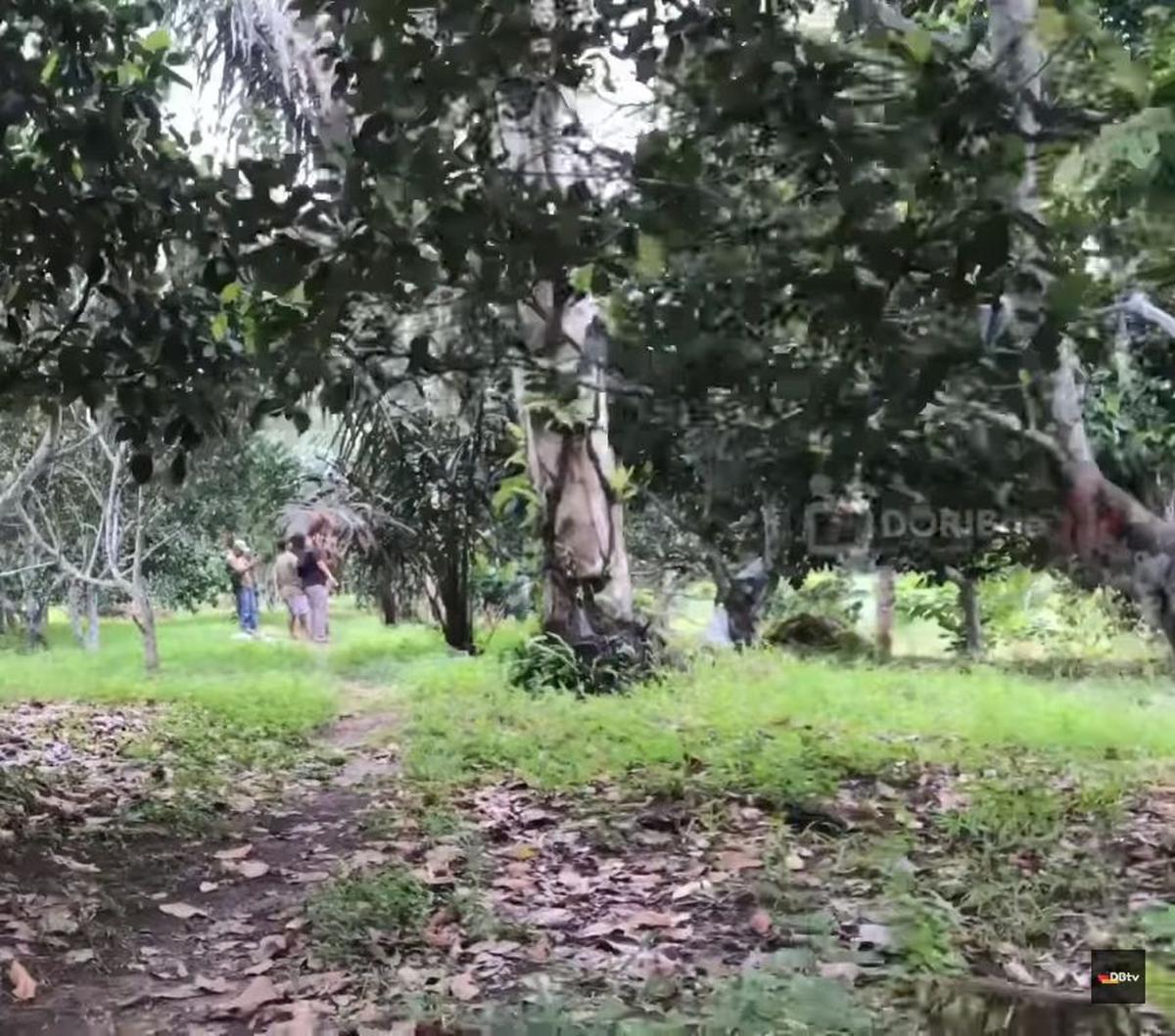 Dok. Istimewa