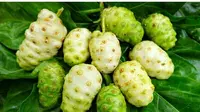 Cara Mengolah Buah Mengkudu, Ini Manfaatnya untuk Kesehatan