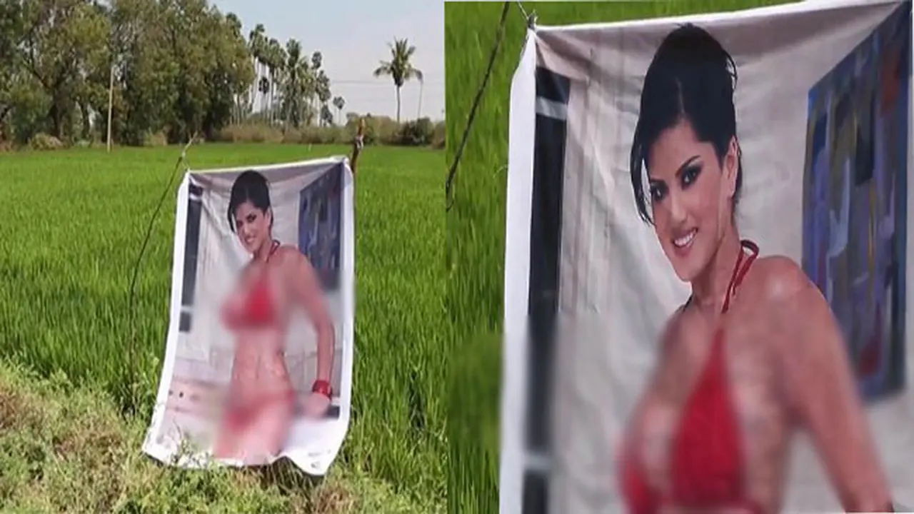 Kocak, Petani Ini Menaruh Gambar Seksi Agar Tanamannya Tidak Dicuri