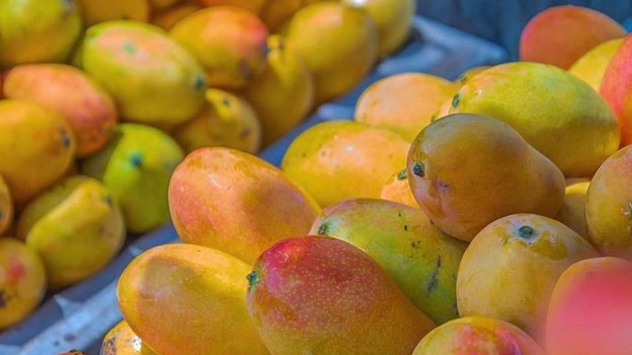 Mangga Pondang