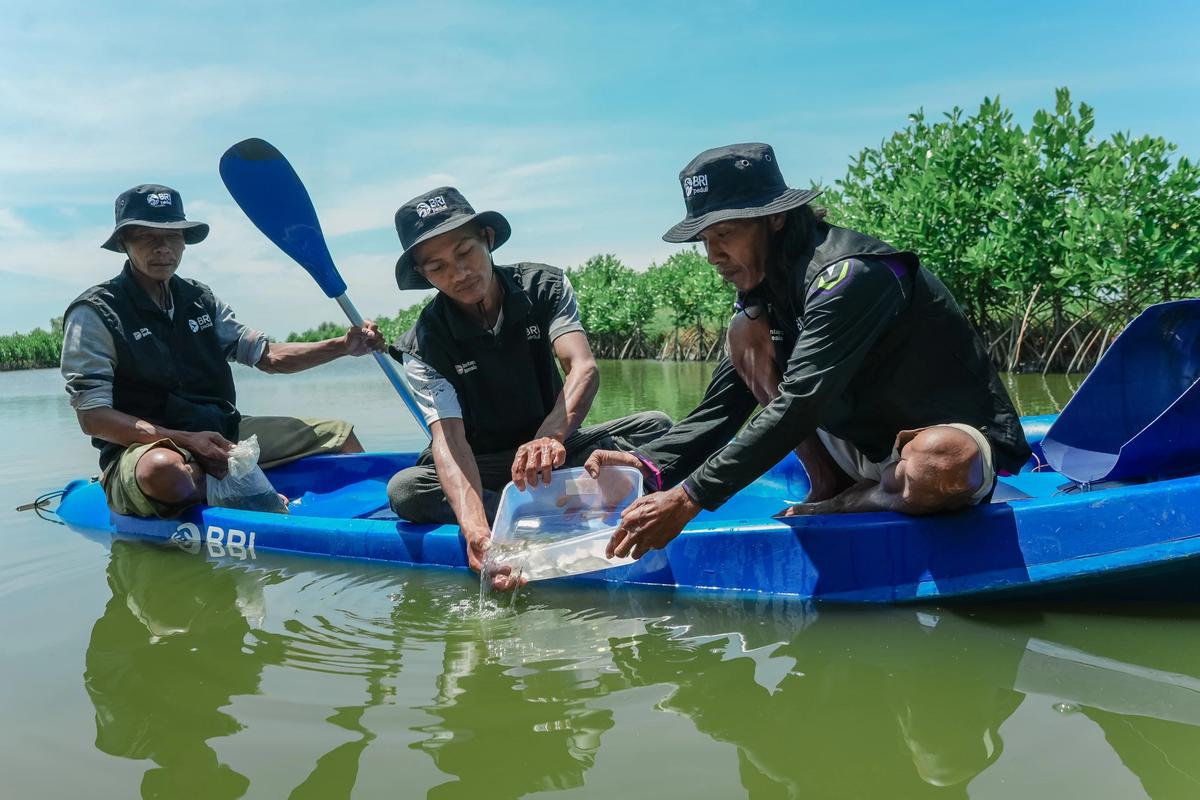 BRI Perkuat Komitmen Jaga Ekosistem Pesisir Lewat Penanaman Mangrove di Muara Gembong Bekasi