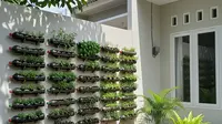 9 Transformasi Barang Bekas Jadi Kebun Cantik di Rumah, Ide Kreatif Hemat Budget