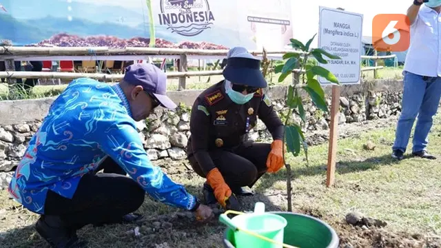 Kajari Makassar Andi Sundari menanam bibit buah di Kecamatan Tamalanrea, Makassar (Liputan6.com/ Eka Hakim)