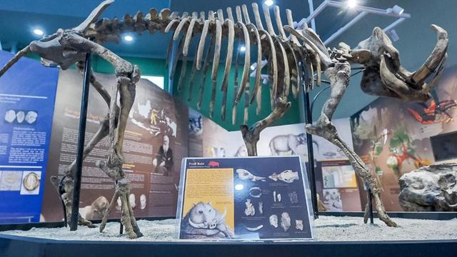 Menparekraf Sandiaga Uno Dorong Kampung Rammang-Rammang Jadi Bagian UNESCO Global Geopark