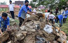 FOTO: Polda Aceh Musnahkan 1,3 Ton Narkoba, Hasil Operasi Tiga Bulan terakhir