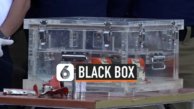 VIDEO: Penampakan Black Box Sriwijaya Air di Terminal JICT