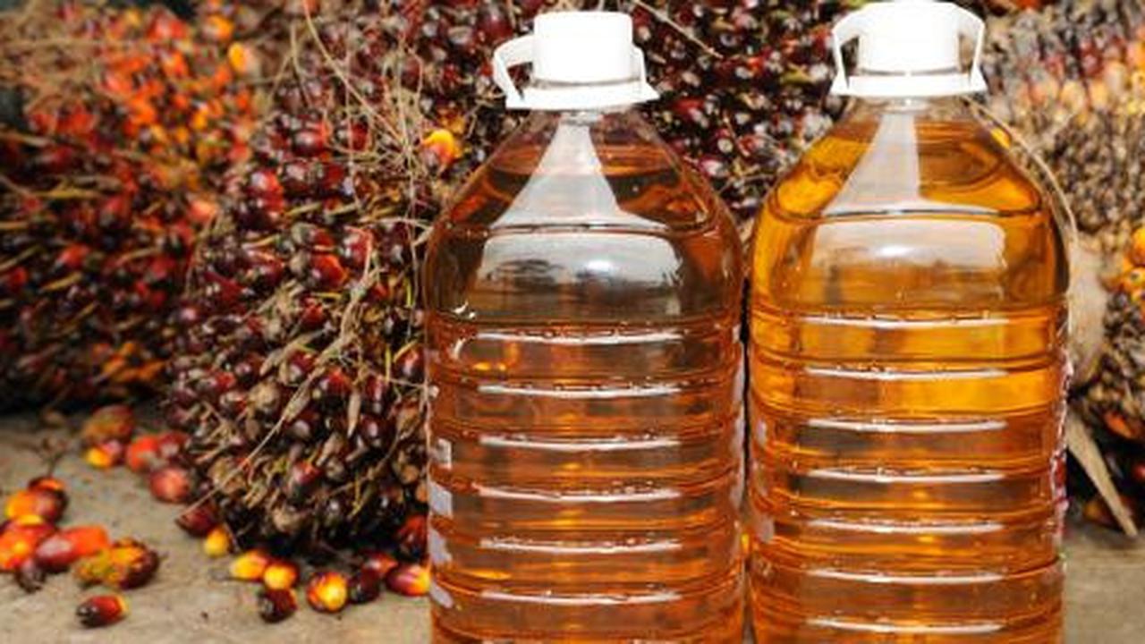 AS tolak CPO Indonesia karena kepentingan bisnis?