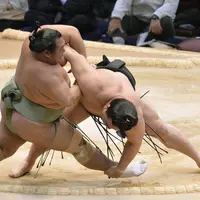 Hahahaha, serius lucunya. Ternyata begini rasanya ngelihat para pesumo lomba lari. Bikin ngakak sampai nangis!