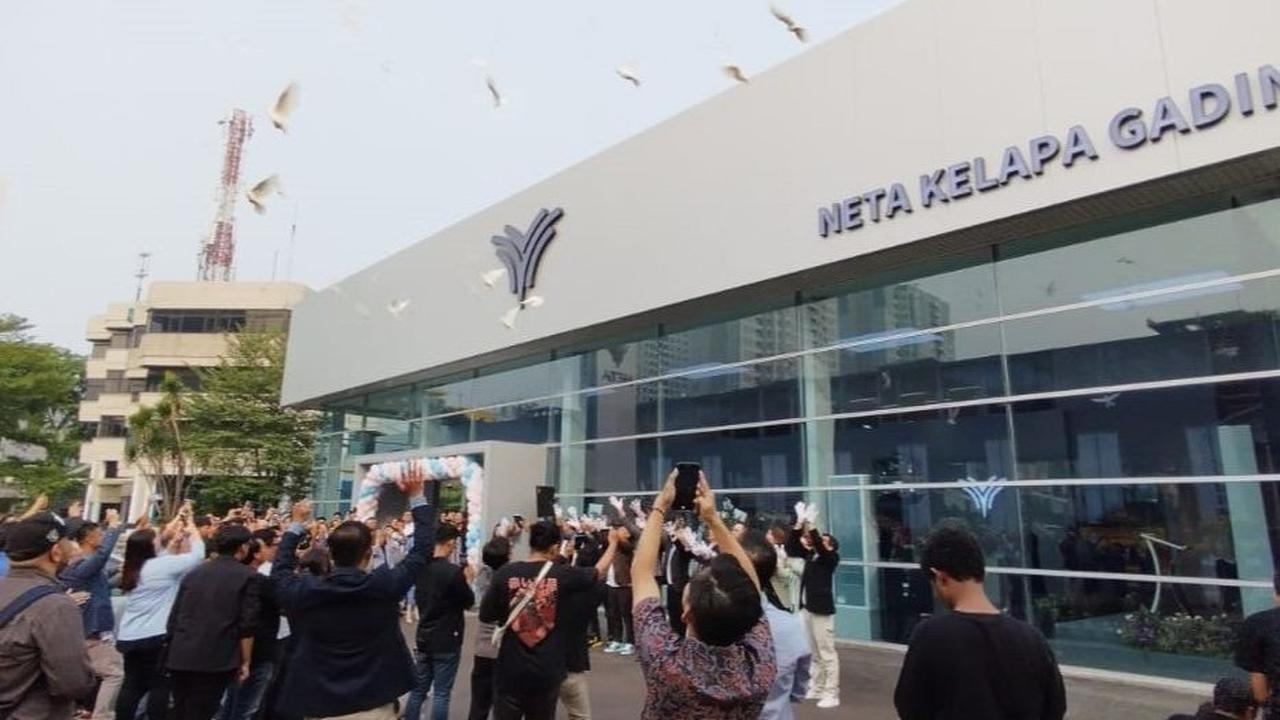 Neta Kelapa Gading