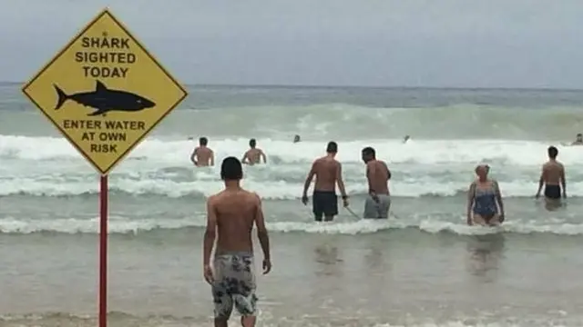 6 Potret Kocak Bukti Hal Aneh Bisa Terjadi di Pantai