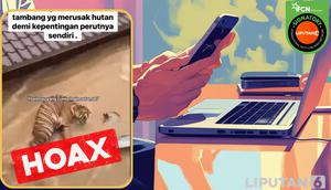 Cek fakta video harimau terjebak banjir di Sumatera