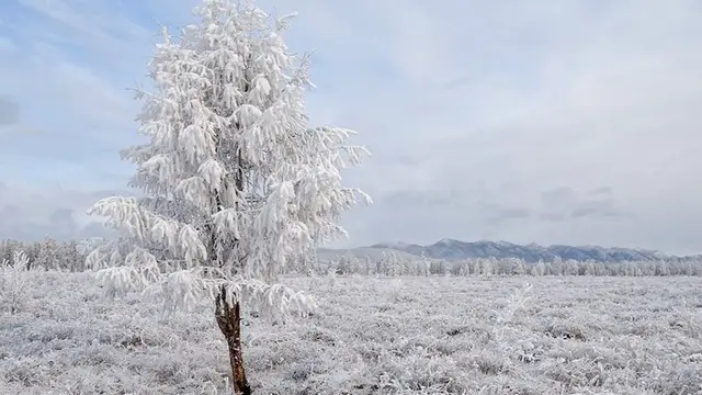 [Bintang] Desa Terdingin di Dunia