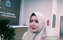 Fakta Tim Percepatan NTB: Wagub Indah Dhamayanti Putri Jamin Profesionalisme, Siapa Saja Anggotanya?