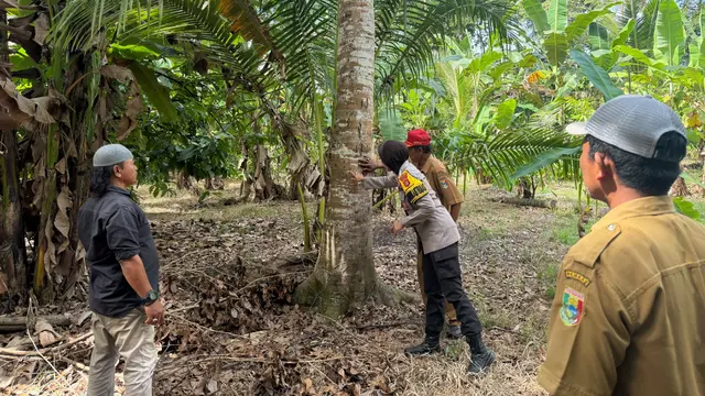 Jejak Beruang Bikin Heboh Warga di Tanggamus