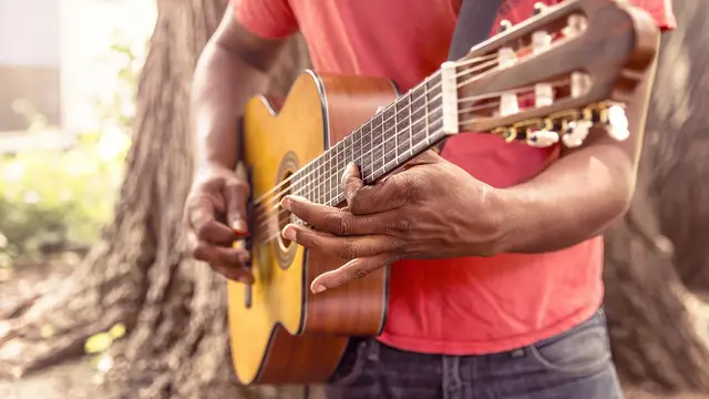Travel Acoustic