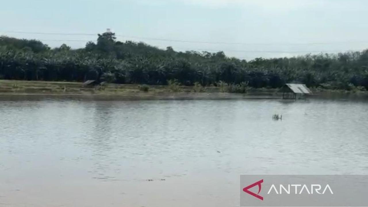 Pemkot Bengkulu Siagakan Personel 24 Jam untuk Antisipasi Bencana Akibat Cuaca Ekstrem