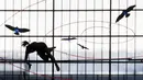 Atlet Nicole Buechler dari Swiss tengah berlatih di nomor lompat galah persiapan ajang IAAF Diamond League international Athletics di Zurich, Swiss, (31/8/2016). ajang ini dimulai pada tanggal 1 september 2016. (EPA/Ennino Leanza)