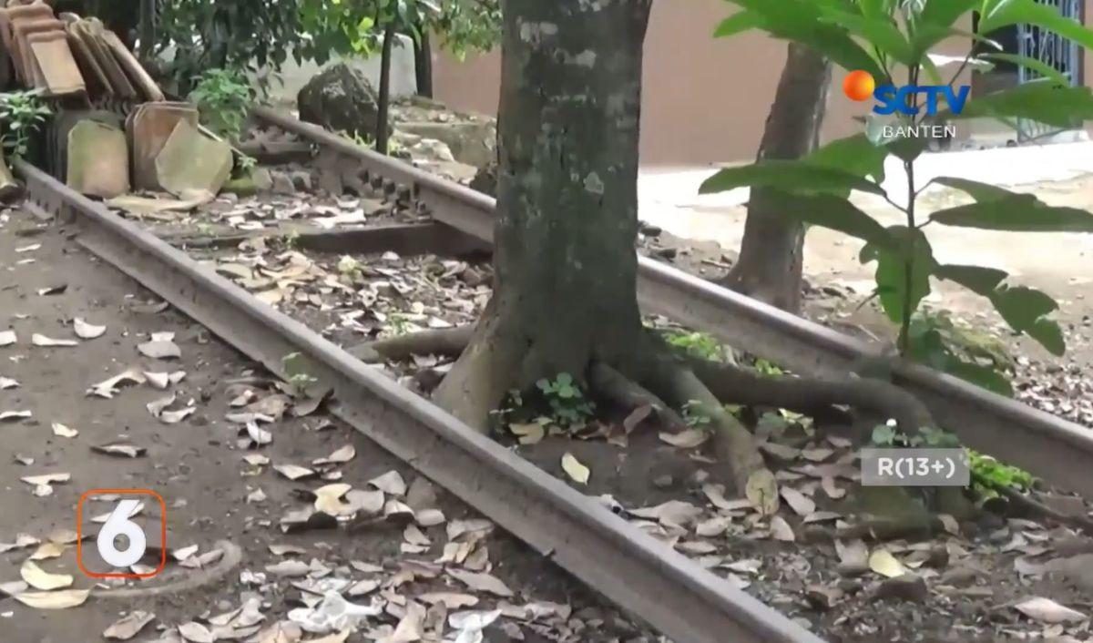 Rel Ditumbuhi Pohon dan Tembus ke Rumah Warga