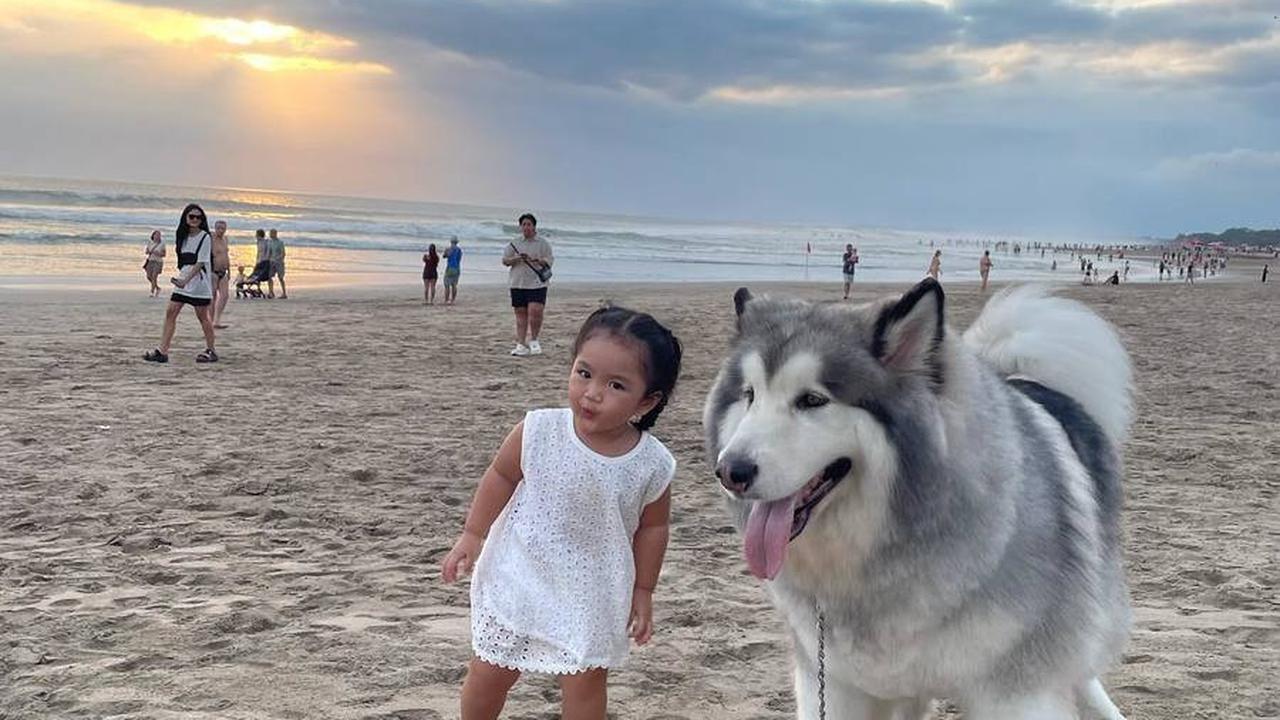 Berpose di Samping Anjing Besar