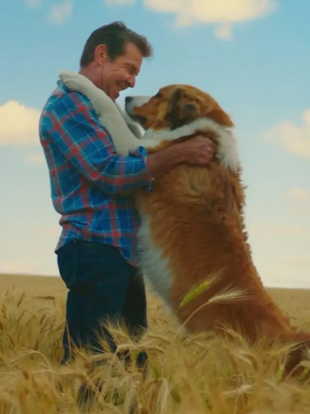 [Fimela] A Dog's Journey