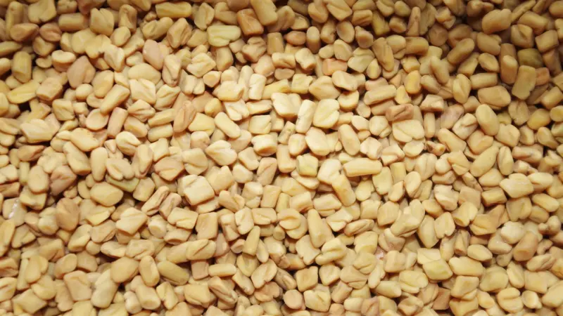 Manfaat Fenugreek